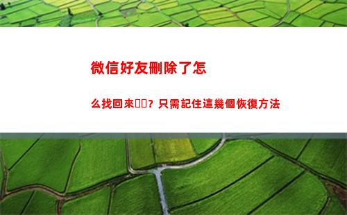 微信好友刪除了怎么找回來？只需記住這幾個恢復方法(微信好友刪除了怎么知道對方刪沒刪我)